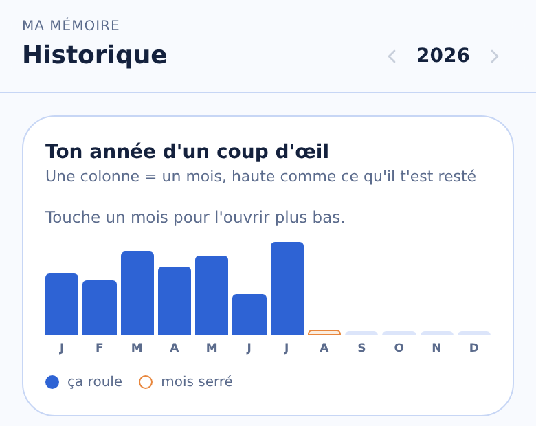 Ton année d'un coup d'œil : un mois par colonne, haute comme ce qu'il t'est resté